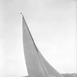 Britannia sails close-hauled, 1931. Creator: Kirk & Sons of Cowes