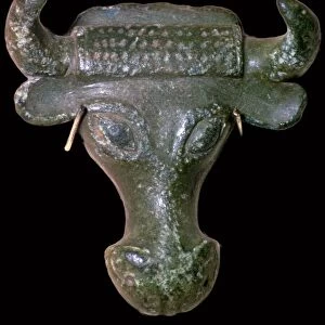 Bronze Bulls head escutcheon