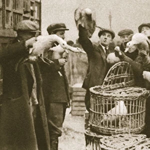 Buying live poultry at a Pedlars Market at the Caledonian Market, London, 20th century