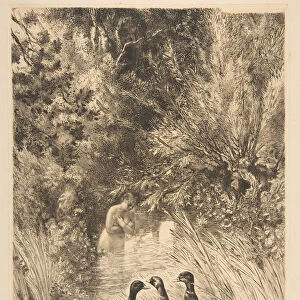 Canards surpris, 1882. Creator: Felix Bracquemond
