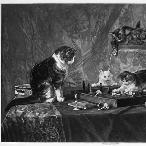Cats playing with a chessboard. Artist: Goupil and Co
