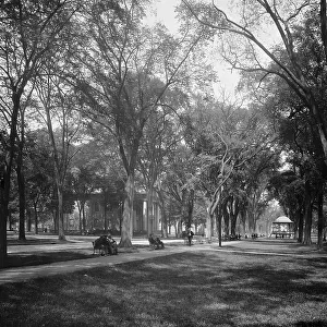 City Green, New Haven, between 1900 and 1906. Creator: Unknown