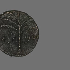 Coin Depicting a Palm Tree, 133-135. Creator: Unknown