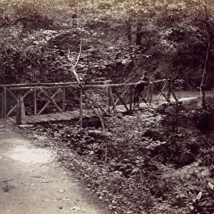 Colwyn Bay. Rustic Bridge in the Wood, 1870s. Creator: Francis Bedford