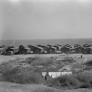 Company housing for Mexican cotton pickers, South of Corcoran, California, 1936. Creator: Dorothea Lange