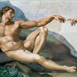 Michelangelo Fine Art Print Collection: Creation of Adam
