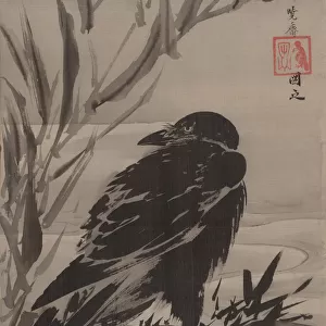 Crow and Reeds by a Stream, ca. 1887. Creator: Kawanabe Kyosai