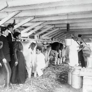 Milk Testing Print, Hampton Institute, 1899-1900 Milk Testing Print, Hampton Institute, 1899-1900