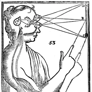Descartes idea of vision, 1692