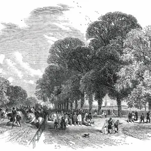 Doncaster Races - the Road to the Course, 1850 Print Doncaster Races - the Road to the Course, 1850 Print