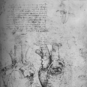 Two Drawings of the Heart, c1480 (1945). Artist: Leonardo da Vinci