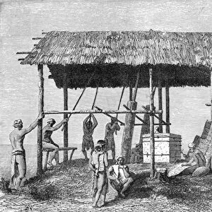 Dyaks Building a House; A Visit to Borneo, 1875. Creator: A. M. Cameron
