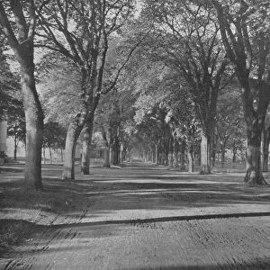 The Elms, New Haven, Connecticut, USA, c1900. Creator: Unknown