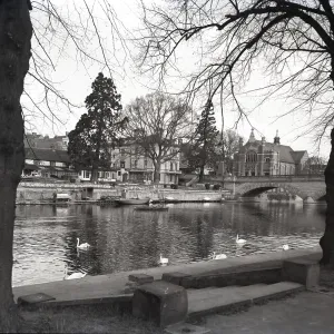 Evesham Print, c1955: A Vintage Scene of Swans on the River Avon Evesham Print, c1955: A Vintage Scene of Swans on the River Avon
