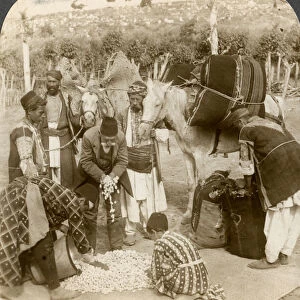 Experts purchasing silk cocoons, for export to France, Antioch, Syria, 1900s. Artist: Underwood & Underwood