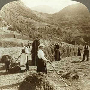 A farmers family making hay in a sunny field between the mountains, Roldal, Norway, c1905