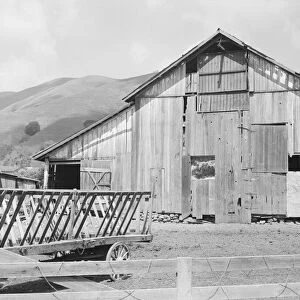 Farmyard of small Italian farmer, Santa Clara County, California, 1939. Creator: Dorothea Lange