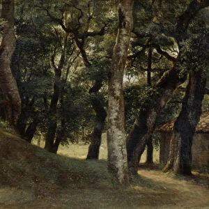 Forest of the Villa Borghese, late 18th / early 19th century. Artist: Pierre Henri de Valenciennes