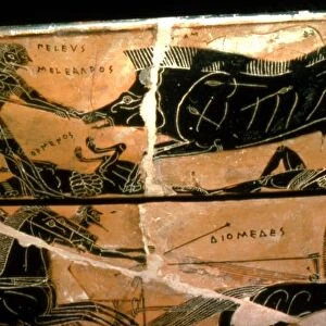 Detail from the Francois Vase, Peleus and Atalanta with Calydonian Boar Hunt, c6th century BC Artists: Ergotimos, Kleitias