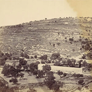 Garden of Gethsemane and the Tomb of the Virgin, Jerusalem, 1860s. Creator: John Anthony