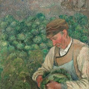 The Gardener - Old Peasant with Cabbage, 1883-1895. Creator: Camille Pissarro