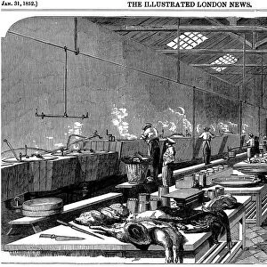 General view of kitchen at Richie & McCalls Cannery, Houndsditch, London, 1852