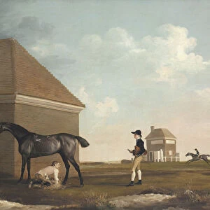 Gimcrack on Newmarket Heath, with a Trainer, a Stable-Lad, and a Jockey, 1765. Artist: Stubbs, George (1724-1806)