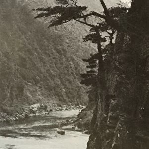 A Glen on the Katsura-Gawa, 1910. Creator: Herbert Ponting