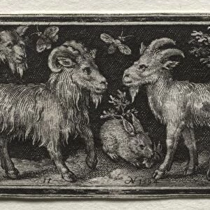 Goats and Hare, 1594. Creator: Nicolaes de Bruyn (Netherlandish, 1571-1656); A. van Londerseel