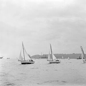 Group of Solent Sea Birds, 1922. Creator: Kirk & Sons of Cowes