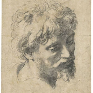 Famous works of Raphael Canvas Print Collection: Italian Renaissance paintings