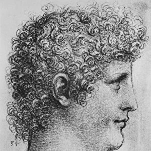 Head of a Youth in Profile to the Right, c1480 (1945). Artist: Leonardo da Vinci