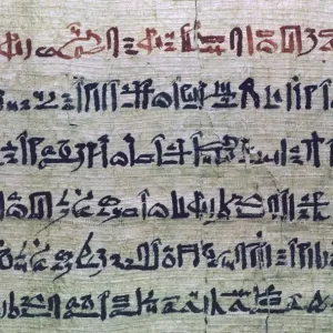 Hieratic Egyptian script print from the Book of the Dead Hieratic Egyptian script print from the Book of the Dead