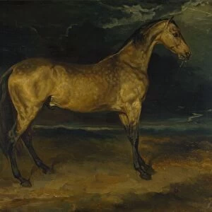 A Horse frightened by Lightning, ca 1814. Artist: Gericault, Theodore (1791-1824)