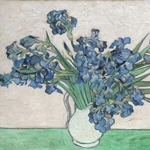 Vincent van Gogh Photographic Print Collection: Irises painting