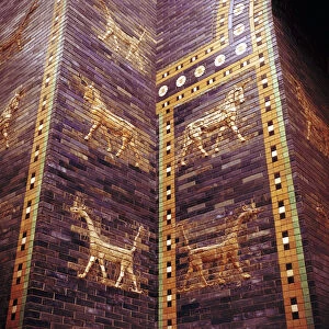 Detail of the Ishtar Gate, Babylon, c604-c562 BC