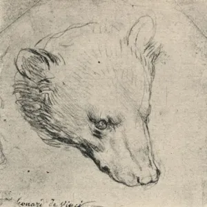 Leonardo da Vinci's Head of a Bear Print, 1945 Leonardo da Vinci's Head of a Bear Print, 1945