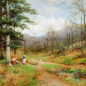 On The Long Mynd, Church Stretton, 1907. Creator: David Bates