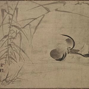Mandarin Duck, 1500s. Creator: Sesson Sh?kei (Japanese, 1504-1589)