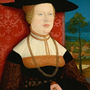 Margarethe Vohlin, 1527. Creator: Bernhard Strigel