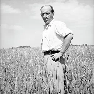 Member of the Hightstown farm group says: "Who says Jews can't farm?" Hightstown, New Jersey, 1936. Creator: Dorothea Lange. Member of the Hightstown farm group says: "Who says Jews can't farm?" Hightstown, New Jersey, 1936