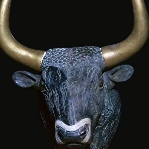 Minoan bulls head libation vessel