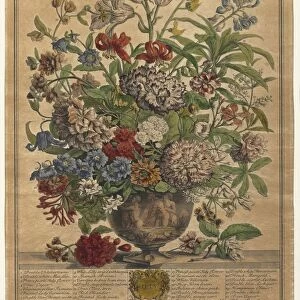 Twelve Months of Flowers: July, 1730. Creator: Henry Fletcher (British, active 1715-38)