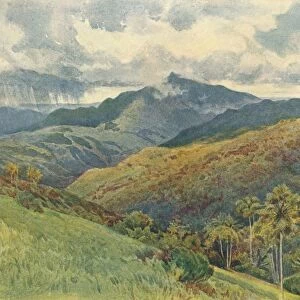 The Mountains from Pallekelly, c1880 (1905). Artist: Alexander Henry Hallam Murray