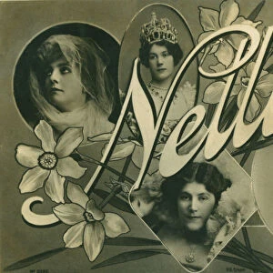 Nellie, postcard of Edwardian actress Nellie Stewart