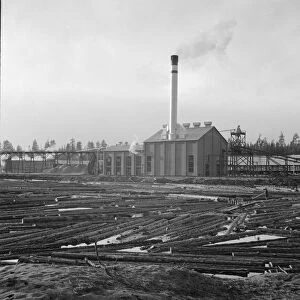 The new Gilchrist mill, open a week, lumber mill, Gilchrist, Oregon, 1939. Creator: Dorothea Lange