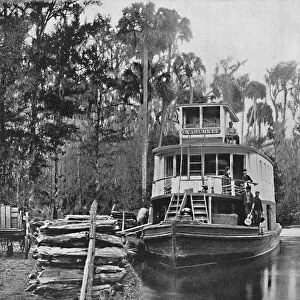 On the Ocklawaha River, Florida, c1897. Creator: Unknown
