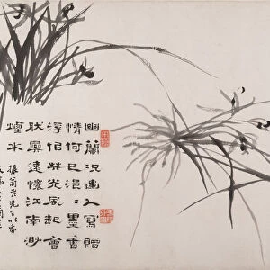 Orchids and Bamboo, dated 1742. Creator: Zheng Xie