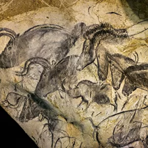 Painting in the Chauvet cave, 32, 000-30, 000 BC