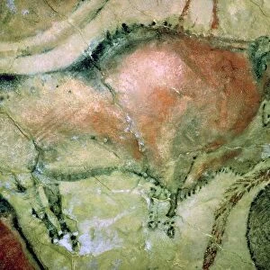 Paleolithic cave-painting of Bison from Spain